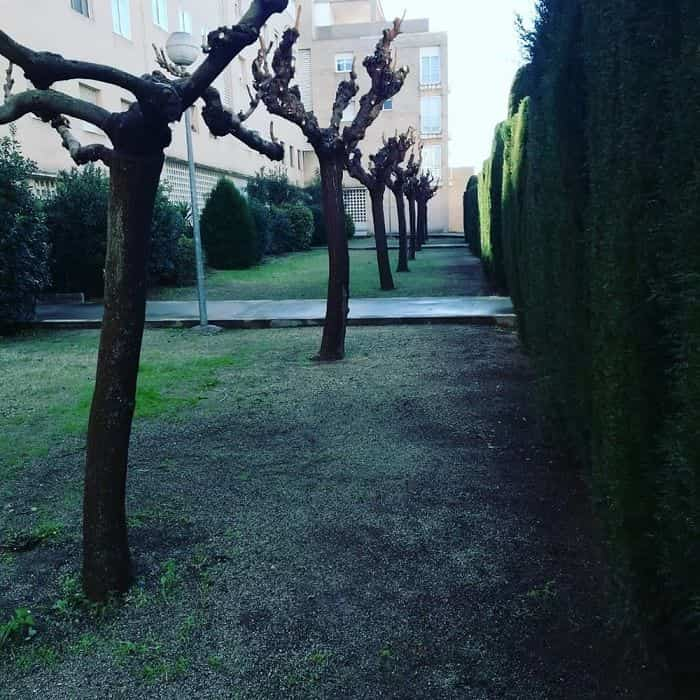 jardineria sant cugat